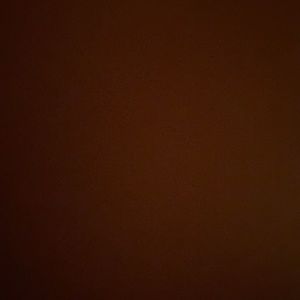 Meet your Posher, Arianna